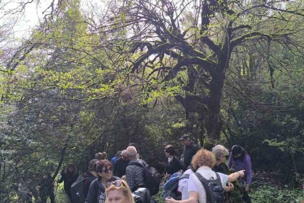 εικόνα_Viber_2025-03-30_18-27-43-813