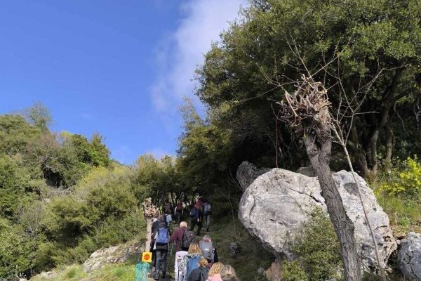 εικόνα_Viber_2025-03-30_18-27-48-405