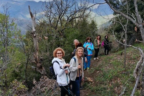 εικόνα_Viber_2025-03-30_19-48-22-252