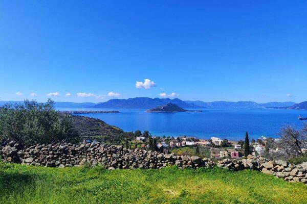 εικόνα_Viber_2025-04-06_22-19-44-936