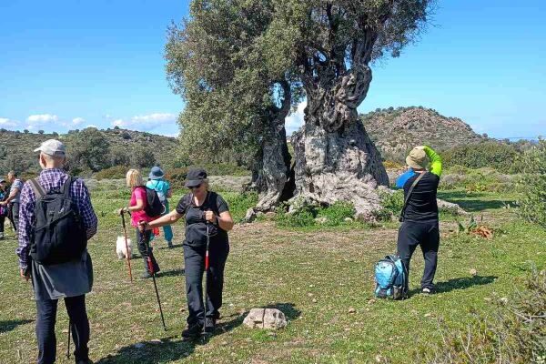 εικόνα_Viber_2025-04-07_08-39-55-337