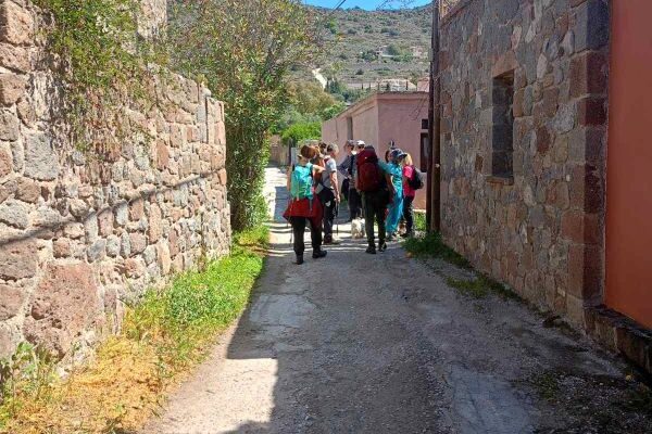 εικόνα_Viber_2025-04-07_08-39-55-397