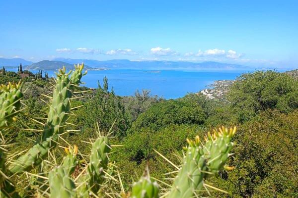 εικόνα_Viber_2025-04-07_08-39-56-133