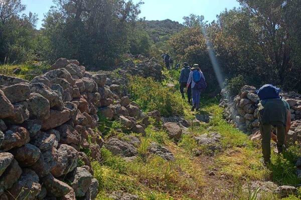 εικόνα_Viber_2025-04-07_08-39-56-490