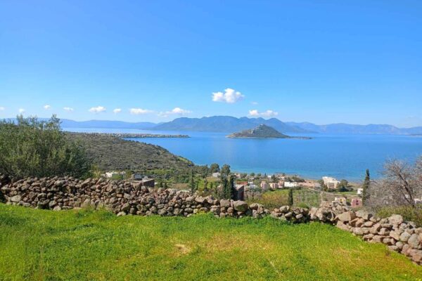 εικόνα_Viber_2025-04-07_08-39-56-551