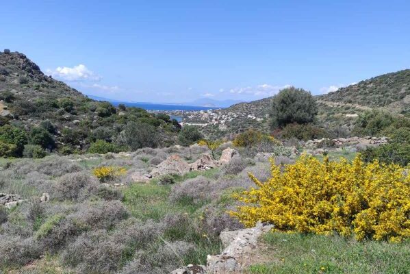 εικόνα_Viber_2025-04-07_12-17-52-972