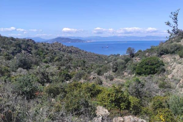 εικόνα_Viber_2025-04-07_12-18-37-125