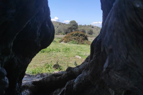 εικόνα_Viber_2025-04-07_12-24-05-217