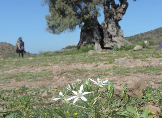 εικόνα_Viber_2025-04-07_12-24-55-115