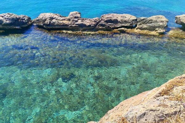 εικόνα_Viber_2025-06-01_22-50-58-312