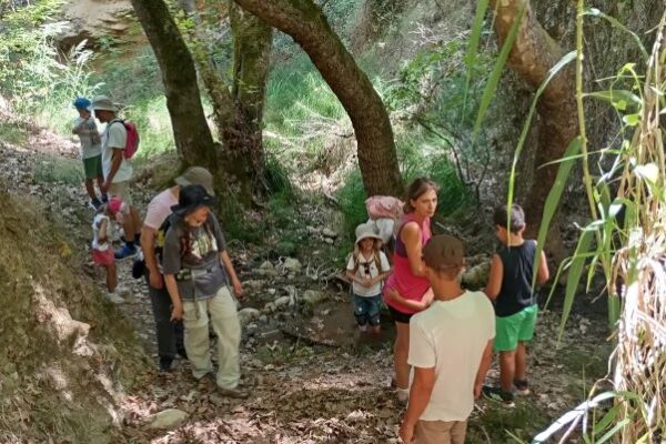 PAIDES EN FYSEI OROPOS 1