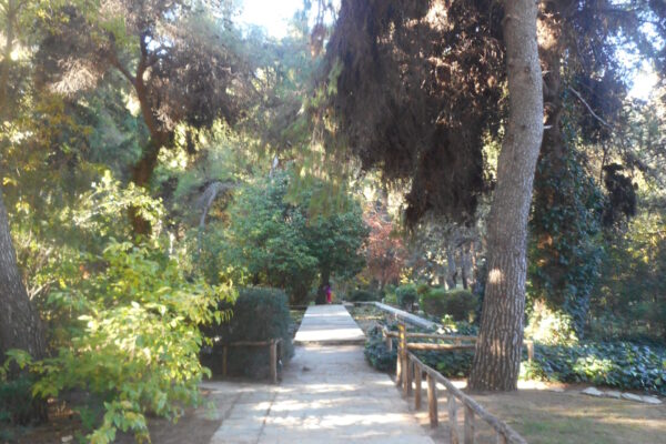 DSCN0451