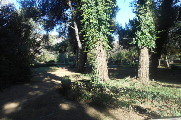 DSCN0452