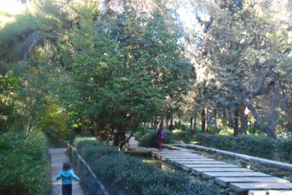 DSCN0454