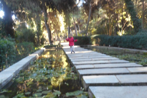DSCN0456
