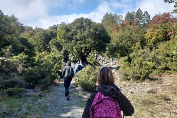 ΕΝ ΦΥΣΕΙ ΜΟΛΑ ΞΗΡΟΒΟΥΝΙ 1