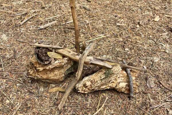 εικόνα_Viber_2025-09-28_18-40-49-250