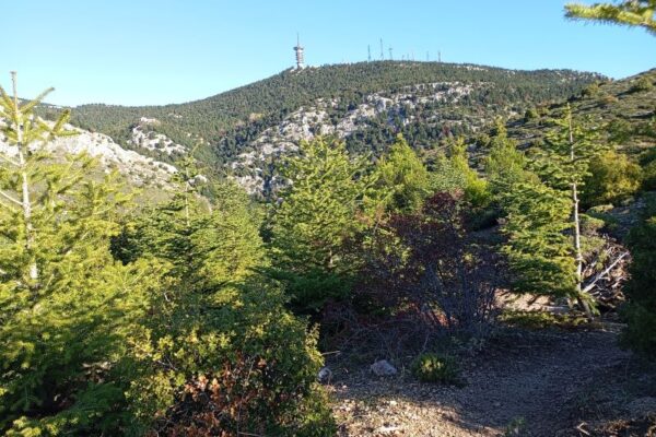 ΕΝ ΦΥΣΕΙ PΑRNITHA 3