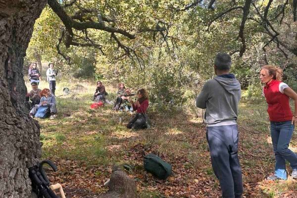 εικόνα_Viber_2025-11-24_12-51-40-581
