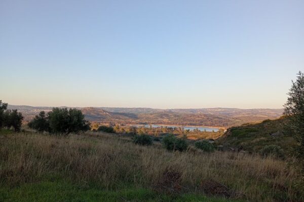 EN FYSEI SGRIA XORTA 1