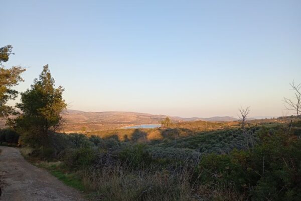 EN FYSEI SGRIA XORTA 2