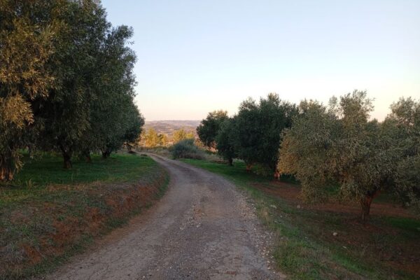 EN FYSEI SGRIA XORTA 6