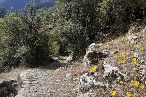 en FYSEI MONH PORETSOU 13