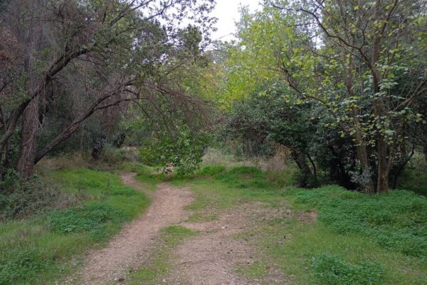 ΕΝ ΦΥΣΕΙ ΚΤΗΜΑ ΣΥΓΓΡΟΥ 10
