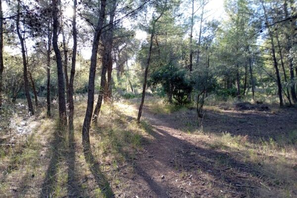 ΕΝ ΦΥΣΕΙ ΚΤΗΜΑ ΣΥΓΓΡΟΥ 4