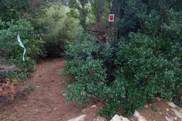ΕΝ ΦΥΣΕΙ ΠΕΖΟΠΟΡΙΑ ΜΟΛΑ ΛΟΙΜΙΚΟ 17