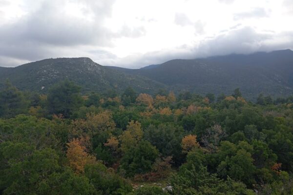 ΕΝ ΦΥΣΕΙ ΠΕΖΟΠΟΡΙΑ ΜΟΛΑ ΛΟΙΜΙΚΟ 26