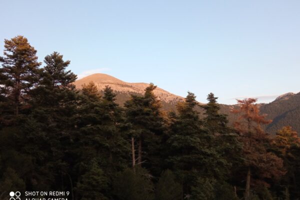 εικόνα_Viber_2026-02-25_14-03-05-400