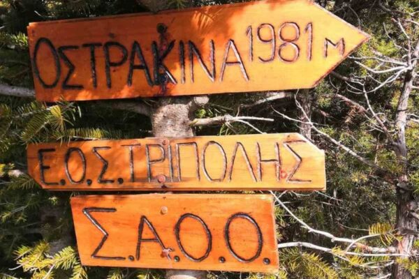 εικόνα_Viber_2026-02-25_14-04-43-853