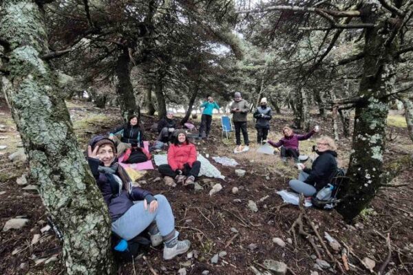 FOREST THERAPY KITHERONAS ME EN FYSEI 2
