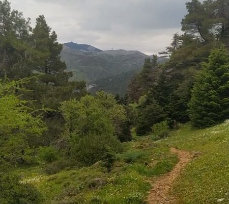 SPHLAIO PANOS EN FYSEI 7