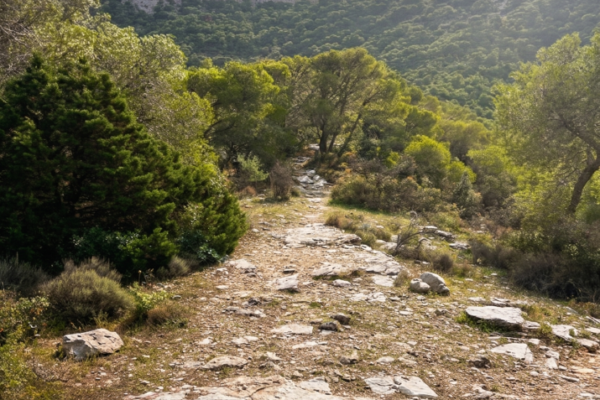 τρυπια σπηλια ΕΝ ΦΥΣΕΙ