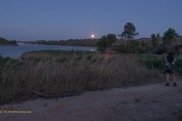 DSC00425