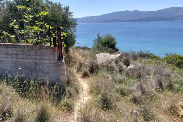 ΕΝ ΦΥΣΕΙ KEXRIES ISTHMIA 2