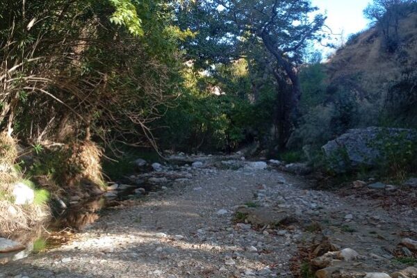 ΕΝ ΦΥΣΕΙ ΦΑΡΑΓΓΙ ΟΙΝΟΗΣ 1